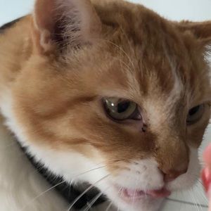 Meet your Posher, Johnny